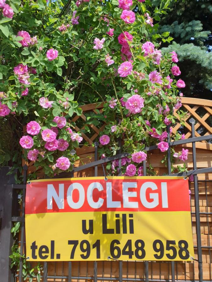 Noclegi U Lili Człuchów Exterior foto